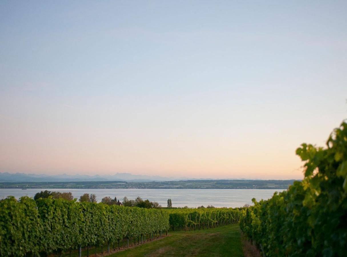 Hotel Heinzler Am See Immenstaad am Bodensee Ngoại thất bức ảnh